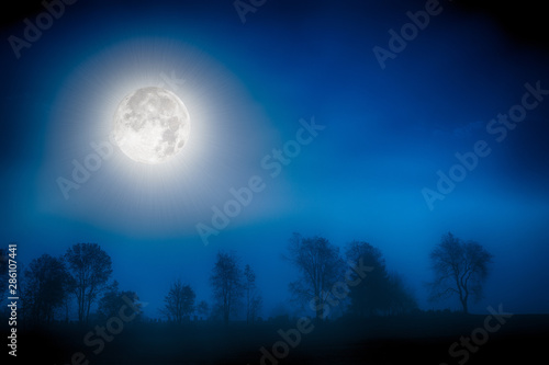 Moon over a foggy treeline, Stowe, Vermont, USA © Don Landwehrle
