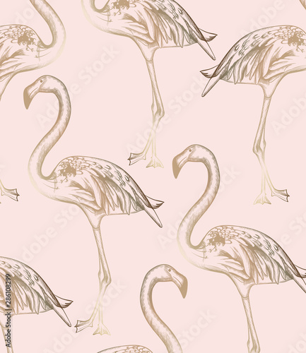 Flamingo pattern Vector. Vintage retro texture line art decors
