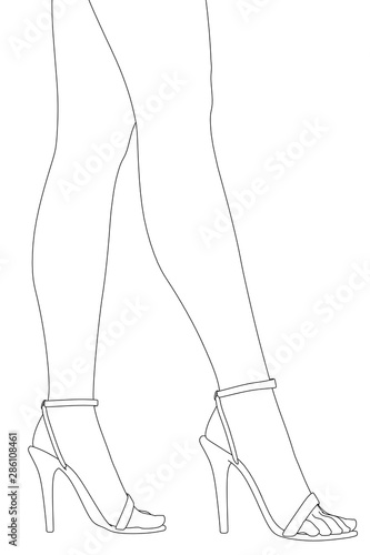 Contour of slender female legs in high heels. Vector illustration.