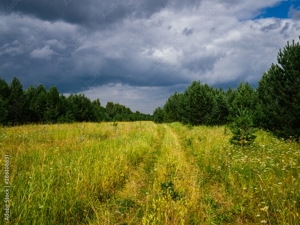 Dark clouds over the forest green grass. Sverdlovsk region Dark clouds over the forest green grass. Sverdlovsk region