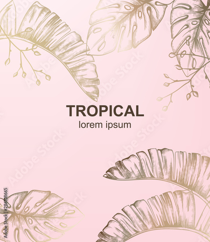 Tropic vintage pattern with palm leaves Vector. Retro shiny design textures