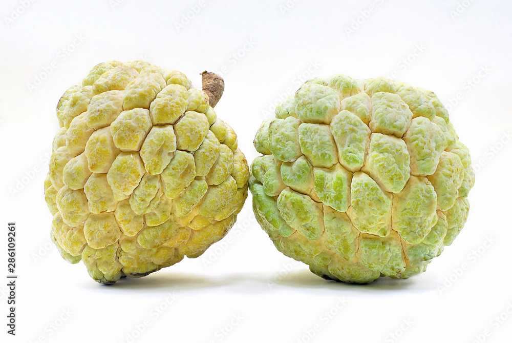 Fototapeta premium Annona or Custard apple isolated on white background