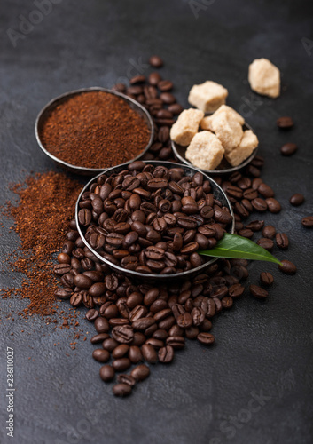 Fresh raw organic coffee beans with ground powder and cane sugar cubes with coffee trea leaf on black background.