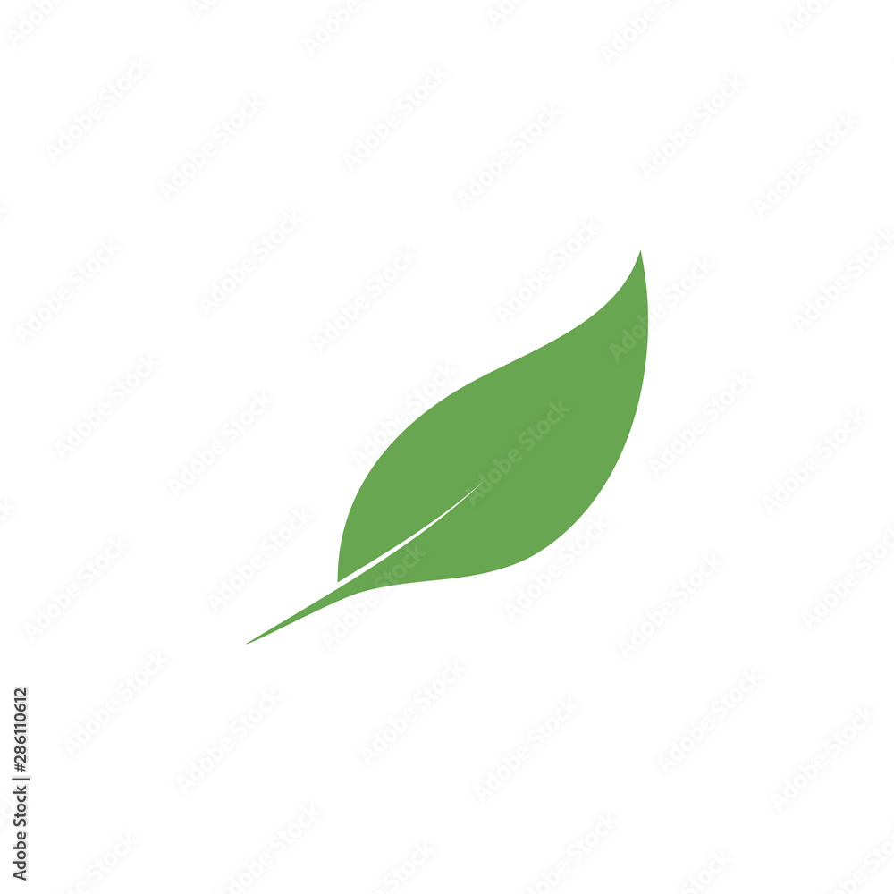 Obraz premium Leaf graphic design template vector isolated illustration