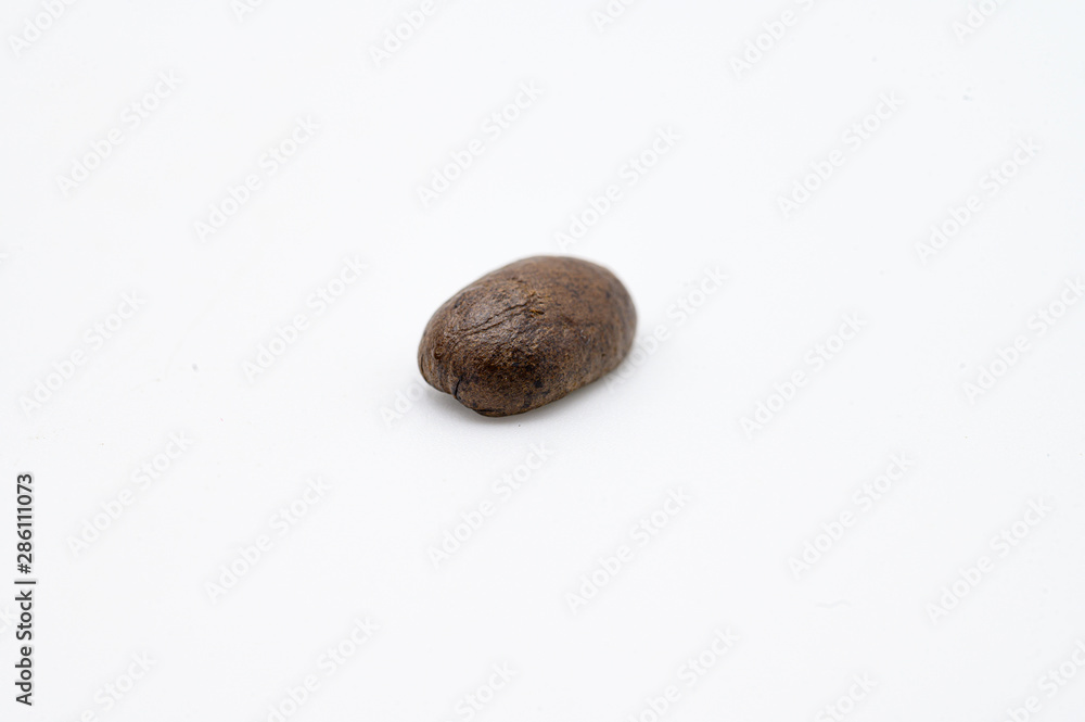 Fototapeta premium grains de café