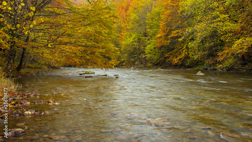 Fototapeta Naklejka Na Ścianę i Meble -  Bieszczady - Carpathians Mountains