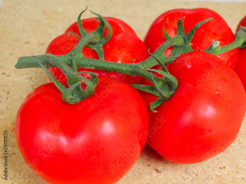 Wallpaper Mural tomatoes on wooden background Torontodigital.ca
