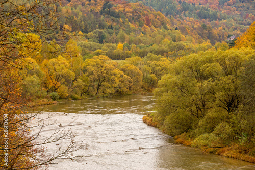Fototapeta Naklejka Na Ścianę i Meble -  Bieszczady