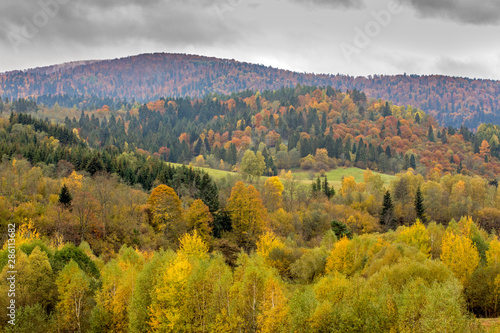 Fototapeta Naklejka Na Ścianę i Meble -  Bieszczady