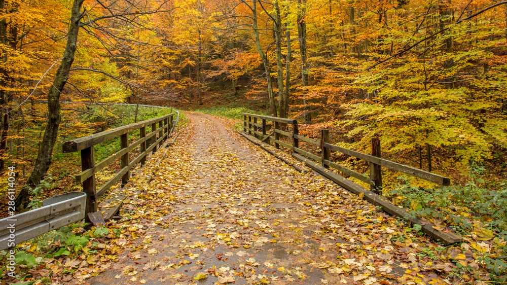 Naklejka premium Bieszczady Jesień