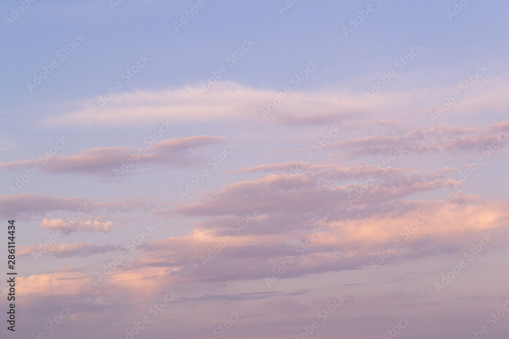 Purple clouds in the sunset. Air clouds in the blue sky. The sun's rays pass through the clouds. Nature background . Purple clouds in the sunset. Air clouds in the blue sky. The sun's rays pass through the clouds. Nature background .
