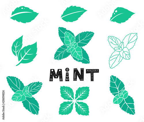 Blue mint leafs. Icons and silhouettes set. Leaves and branches. Vector illustration isolated on a white background.