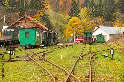 Fototapeta Naklejka Na Ścianę i Meble -  Bieszczady - Kolejka Bieszczadzka 