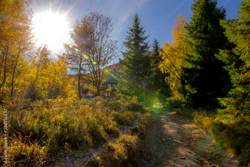 Fototapeta premium Bieszczady - Carpathians Mountains 