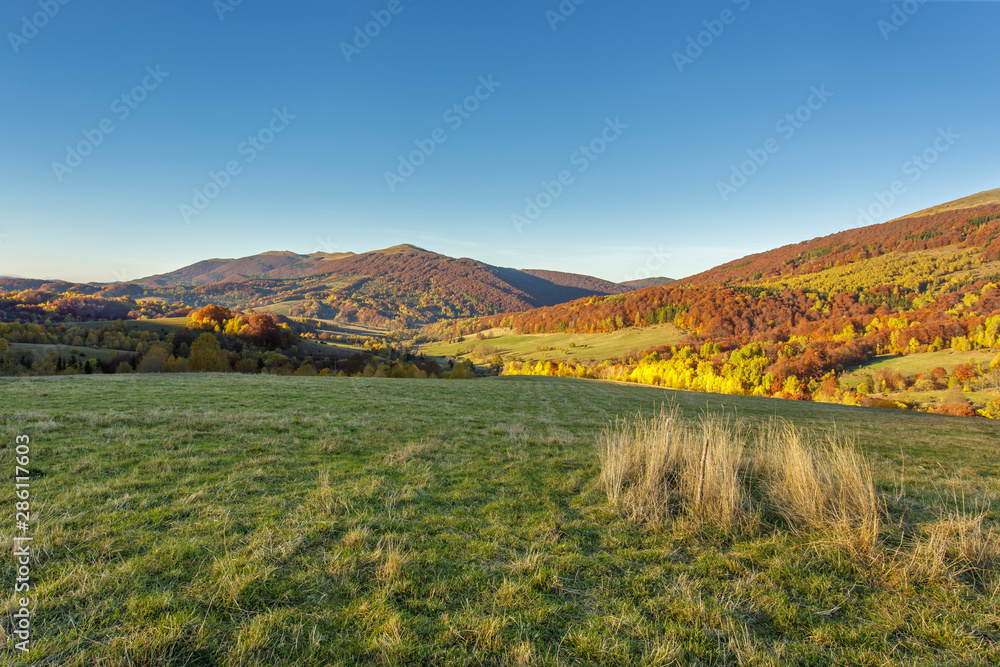 Naklejka premium Bieszczady - Carpathians Mountains 