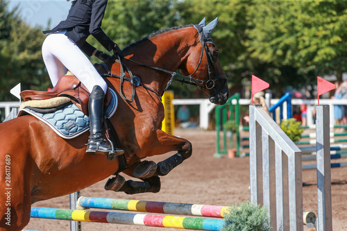 Horse (pony) with rider in the jumping tournament, while jumping over the obstacle..