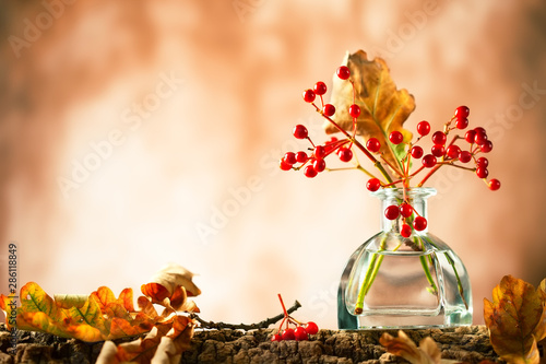 Beautiful autumn red berries and oak leaves in glass bottle on wood  at bokeh background, front view. Autumn still life with berries and leaves.