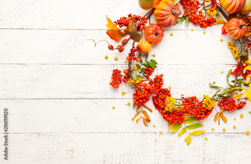 Autumn concept with pumpkins, flowers, autumn leaves and rowan berries on a white rustic background. Festive autumn decor, flat lay with copy space.