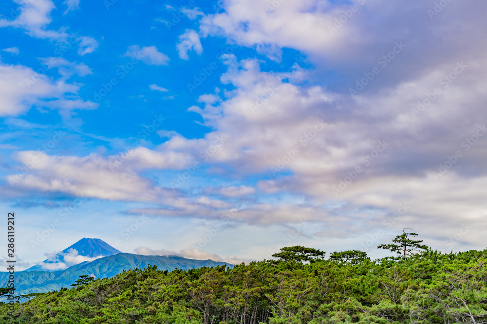 静岡県沼津市千本浜海岸から見た夏の富士山　早朝