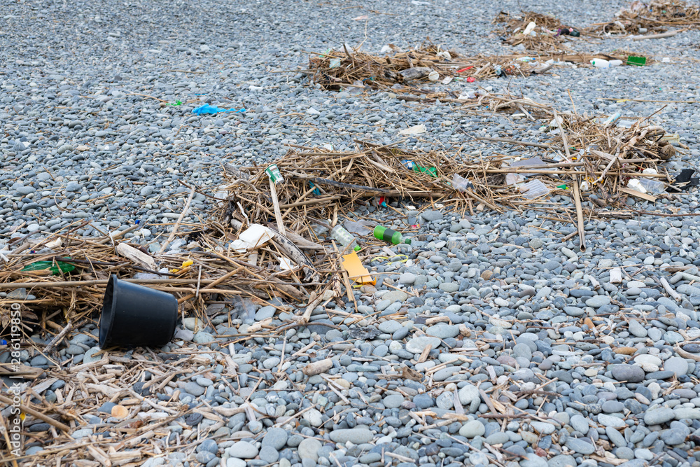 Obraz premium 海岸の漂着ゴミ