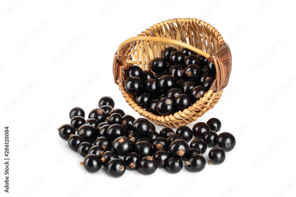 Pile of black currant and in basket isolated on white background Pile of black currant and in basket isolated on white background