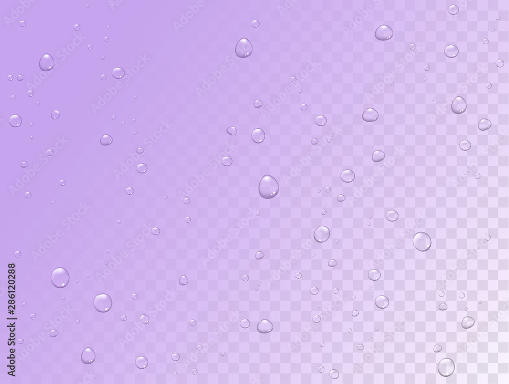 Vector rain pattern on transparent background. Pure realistic water drops on window glass surface