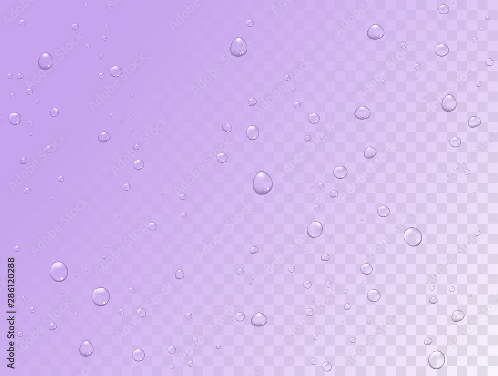 Vector rain pattern on transparent background. Pure realistic water drops on window glass surface Vector rain pattern on transparent background. Pure realistic water drops on window glass surface
