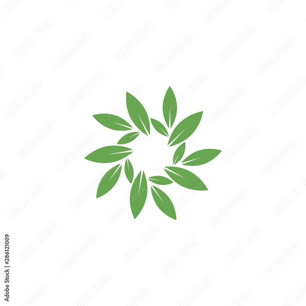 Leaf graphic design template vector isolated illustration