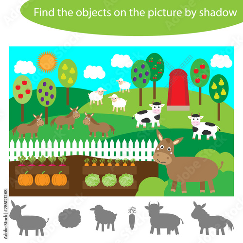Find the objects by shadow  game for children farm animals and garden cartoon  education game for kids  preschool worksheet activity  task for the development of logical thinking  vector illustration