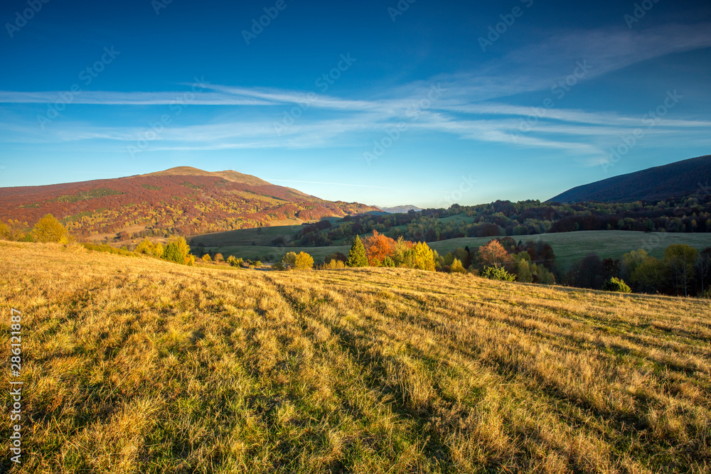 Fototapeta premium Bieszczady