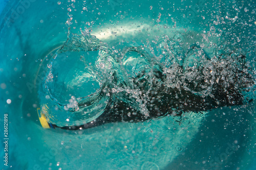 plastic bottle falling into the water making splashes and spraying drops