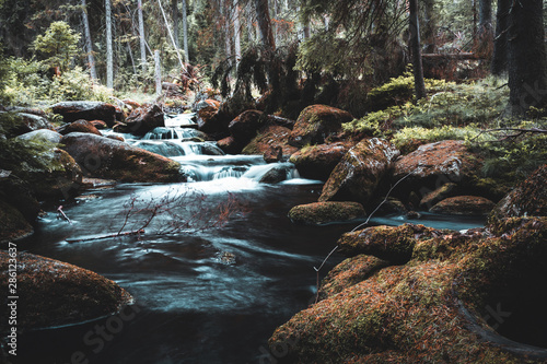 Mountain autumn stream in the morning in Jizera mountain, Czech republic photo