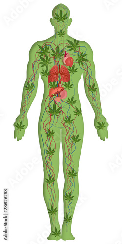 Marijuana body and cannabis consumer symbol as a human made of weed leaves as a herbal medicine patient and effects on psychology or drug dealer concept. vector illustration.