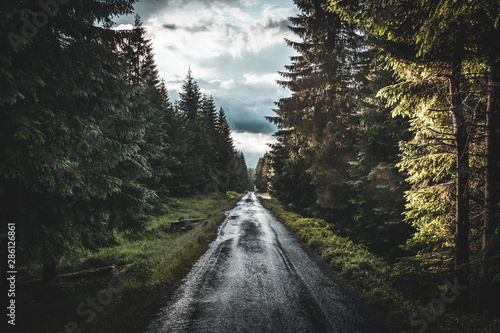 Fototapeta Naklejka Na Ścianę i Meble -  Summer rainy road through forest on Sumava, Czech republic