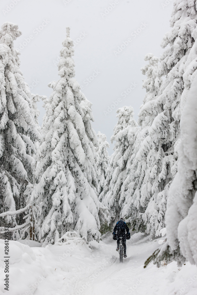 man on mountain bike follows trail through forest in snow during winter