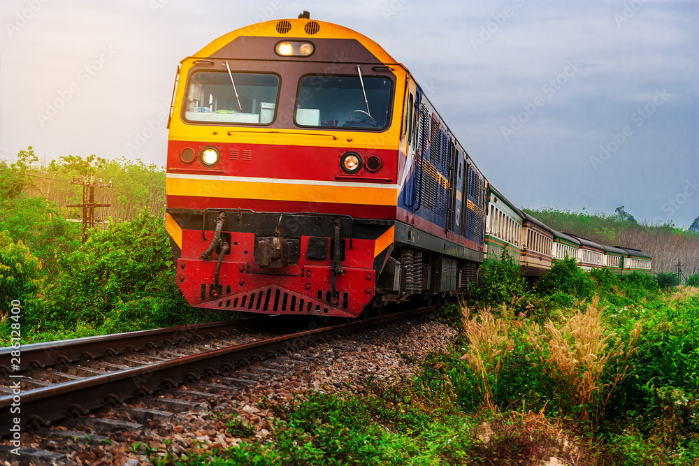 Train on railway transportation in forest and color of sunset
