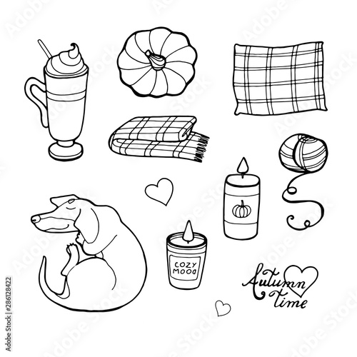 Autumn. Fall concept. Scandinavian style. Cute vector set. Cozy autumn elements. Black and white