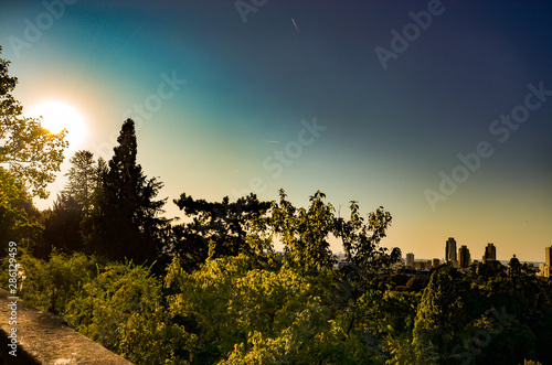 Vue de Paris couleur
