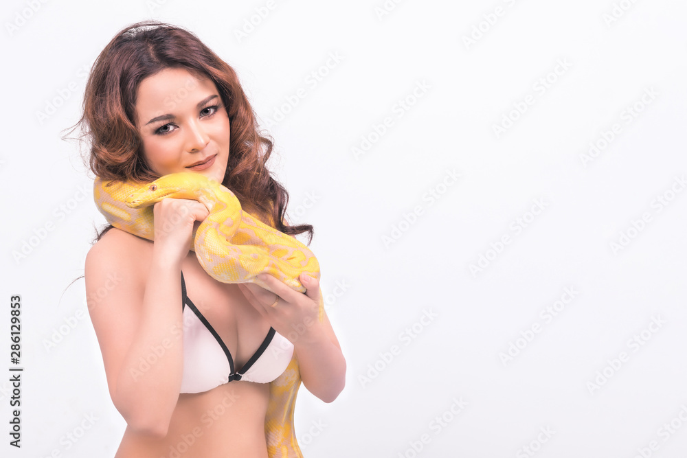 Snake, woman isolated. Asian woman in bikini holding yellow python. Happy smile. Strange woman fashion concept. Snake, woman isolated. Asian woman in bikini holding yellow python. Happy smile. Strange woman fashion concept.