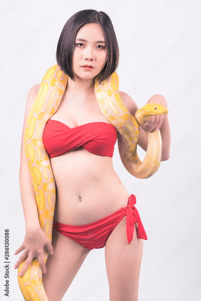 Snake, woman isolated. Asian woman in bikini holding yellow python. Confident look. Strange woman fashion concept. Snake, woman isolated. Asian woman in bikini holding yellow python. Confident look. Strange woman fashion concept.