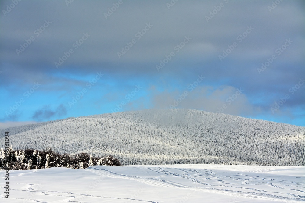 winter landscape with clouds above the forest