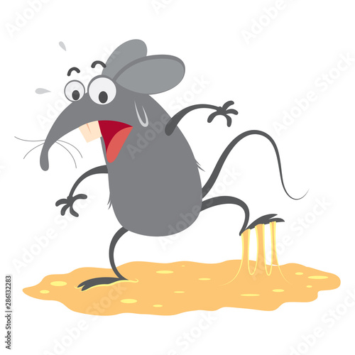 rat trapped in sticky glue traps,vector
