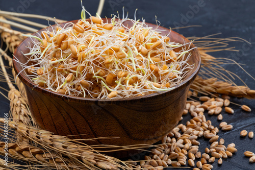 Whole wheat sprouts. Raw, vegan, vegetarian healthy food. Close-up.