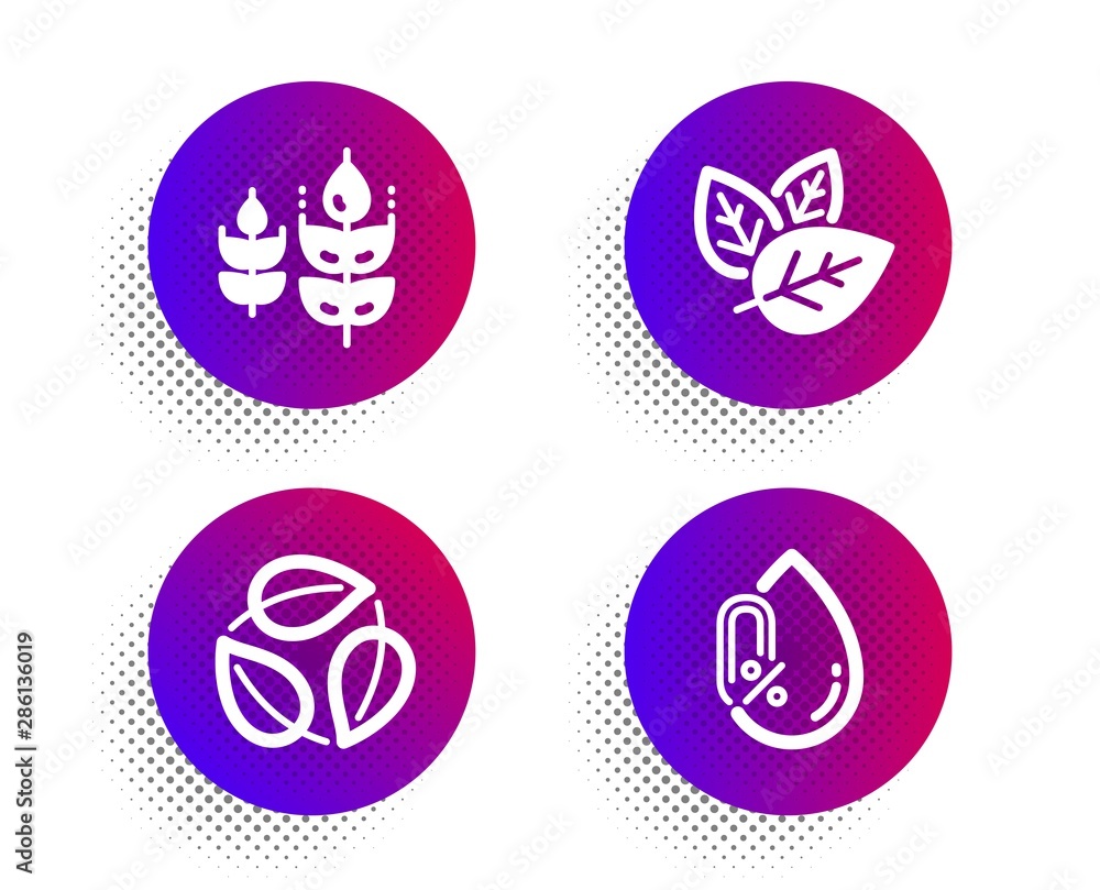 Organic tested, Leaves and Gluten free icons simple set. Halftone dots button. No alcohol sign. Bio ingredients, Nature leaf, Mineral oil. Nature set. Classic flat organic tested icon. Vector