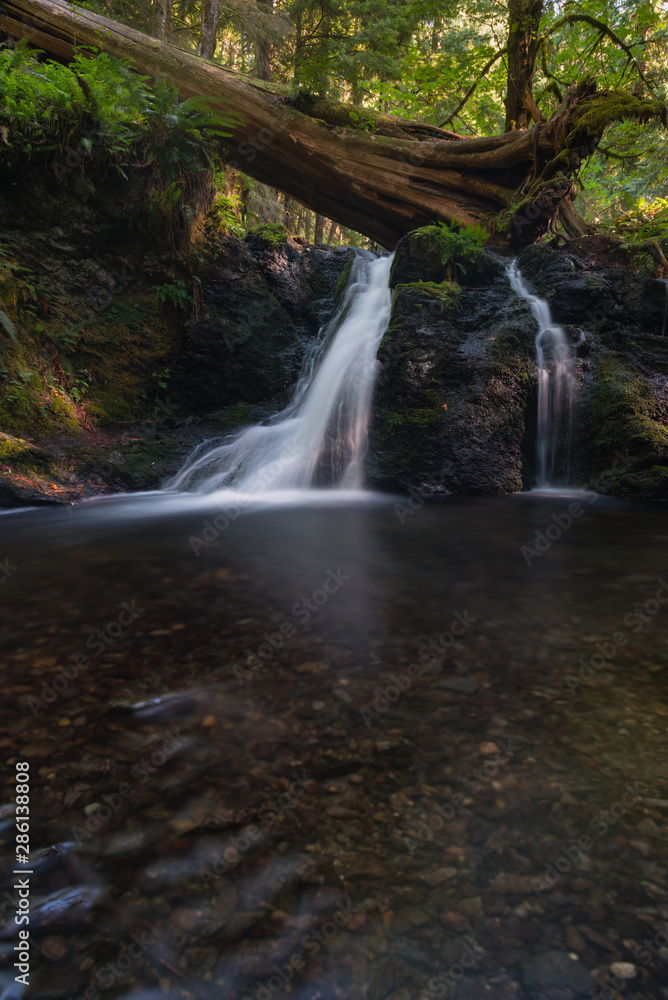Beautiful flowing cascade waterfalls in the lush forest of Moran State Park, Orcas Island, Washington Beautiful flowing cascade waterfalls in the lush forest of Moran State Park, Orcas Island, Washington