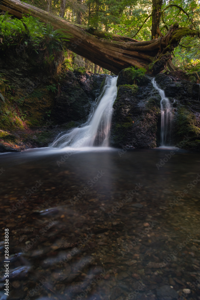 Beautiful flowing cascade waterfalls in the lush forest of Moran State Park, Orcas Island, Washington