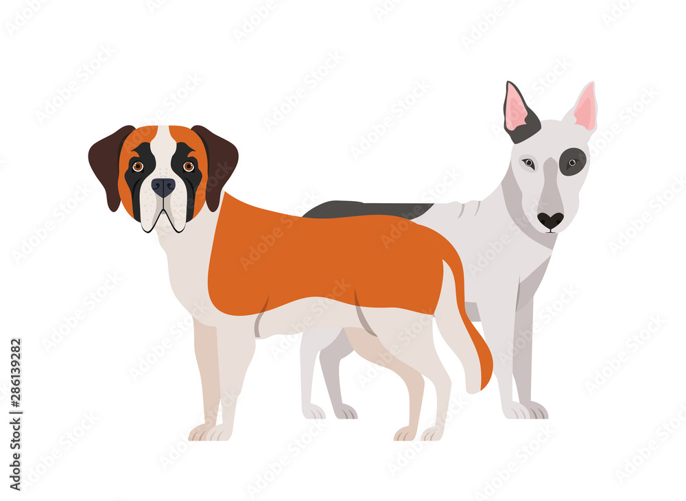 cute and adorable dogs on white background