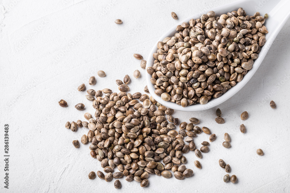 Raw organic unrefined hemp seeds in small white bowl on white concrete background.