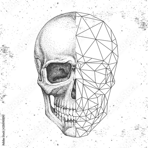 Hipster realistic and polygonal skull on grunge background