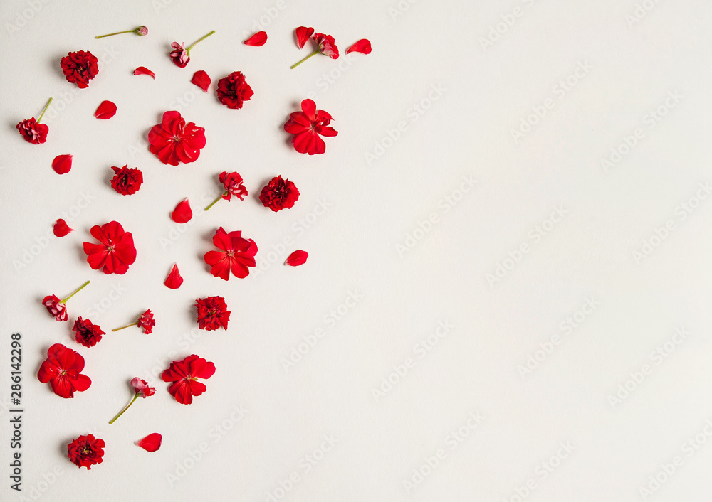 Flower composition. A pattern made of red pelargonium flowers on a pastel yellow background. Flower composition. A pattern made of red pelargonium flowers on a pastel yellow background.